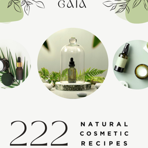 222 Costmetics Recipes Ebook
